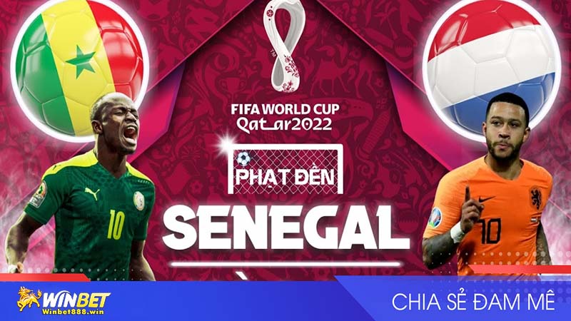 Nhận định Senegal vs Hà Lan