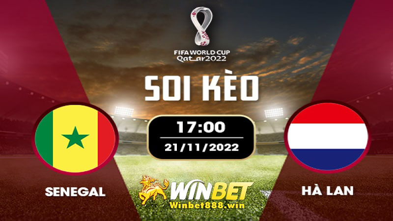 Soi kèo Senegal vs Hà Lan 17h 21/11/2022