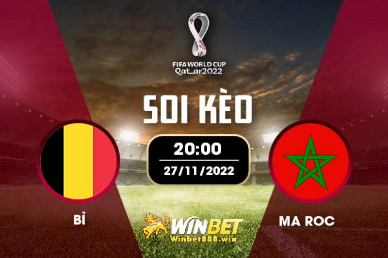 Soi kèo Bỉ vs Maroc 20h ngày 27/11/2022
