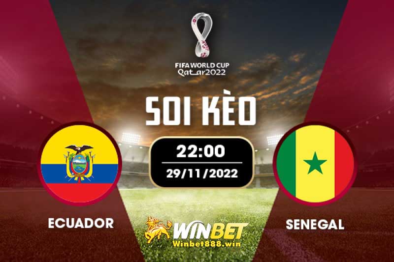 Soi kèo Ecuador vs Senegal 22h 29/11/2022