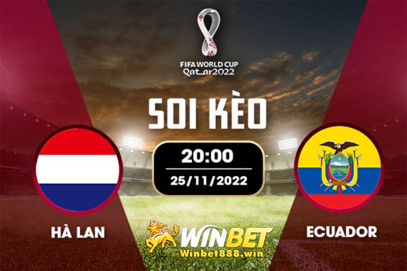 Soi kèo Hà Lan vs Ecuador 23h 25/11/2022