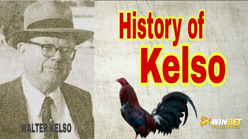 Walter A Kelso